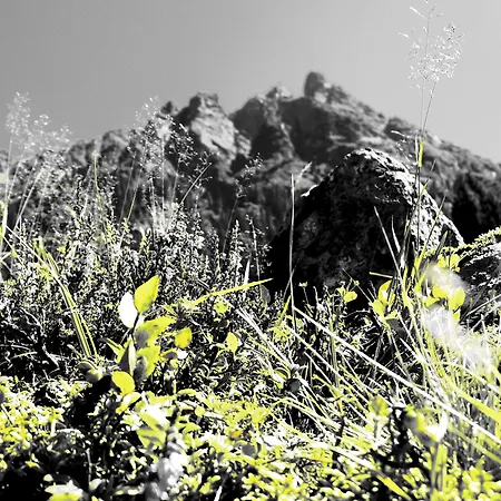 Hotel Bachmann Gargellen